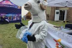 Rambo the Ram